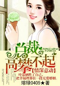 情深意动总裁高攀不起 瑢琭0405