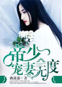 帝少宠妻有深度
