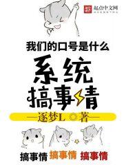 怎么搞副系统