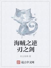 海贼之逆刃剑豪起点