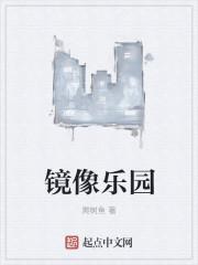 镜像乐队