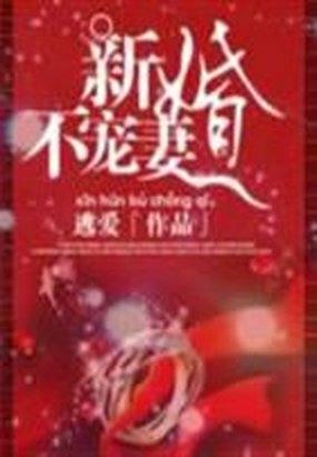 新婚妻子不受宠