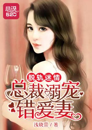 脱轨迷情误惹天价总裁