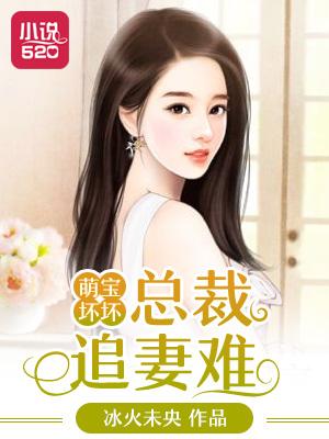 萌宝来袭总裁追妻套路深战少天