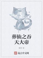 葬仙天书