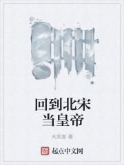 回到北宋当明君笔趣阁