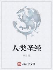 口袋妖怪漆黑打完四大天王和冠军之后该干什么