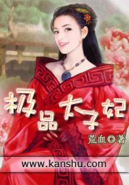 极品太子妃讲什么故事