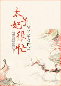 太子妃很忙元月月半无防盗