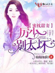 蜜枕甜妻司少宠妻请节制