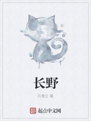 长野的天歌词是什么意思