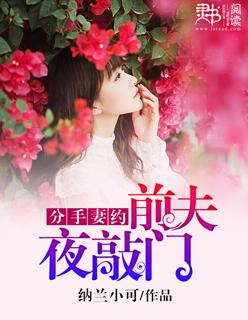 分手妻约全文阅读