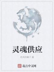 灵魂有什么用