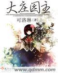 大庄园老总叫什么名字