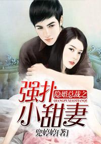 隐婚总裁霸道宠