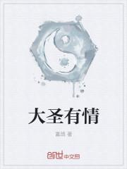 大圣 vxp