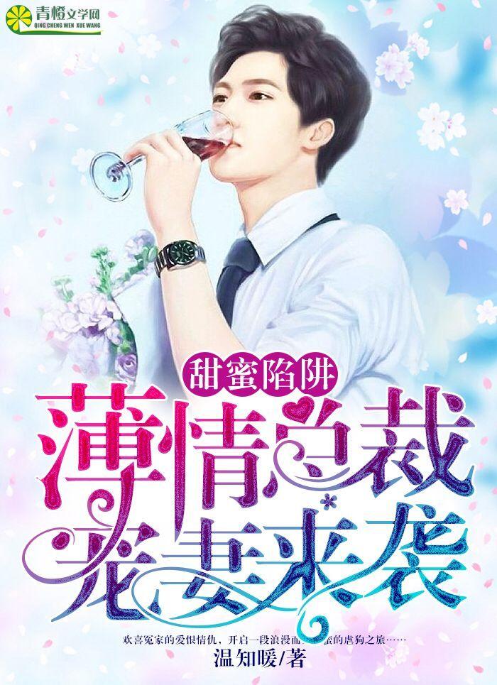 甜蜜总裁的电视剧