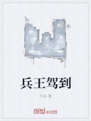 兵王穿越
