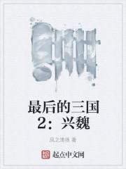 最后的三国2兴魏 风之清扬