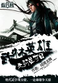 武林英雄星辰之力