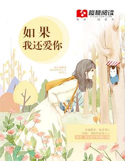 如果我还爱你歌曲