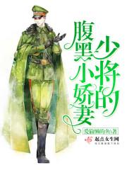 腹黑少将的闪婚小小妻黑道