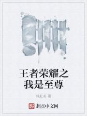 王者荣耀之至尊王者