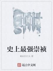 史上最强崇祯洪承畴