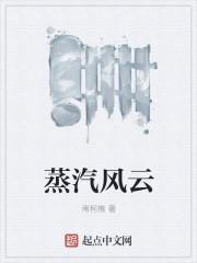 蒸汽平台官网网站