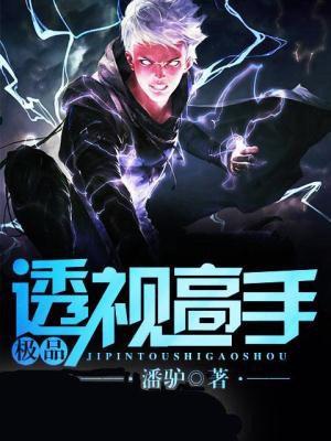 极品透视高手韩振阳