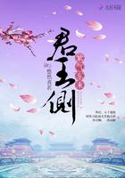 君王侧紫气东来在线阅读