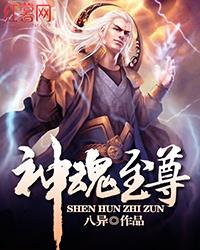 神魂至尊写的怎么样