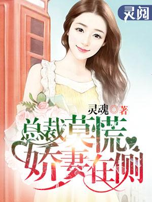 总裁的娇妻不能碰