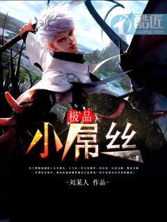 极品小司机结局