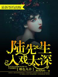 婚色几许陆先生入戏太深书评