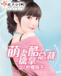 总裁找上门全文免费阅读