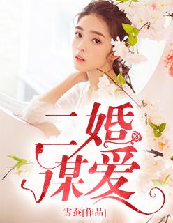 二婚言情