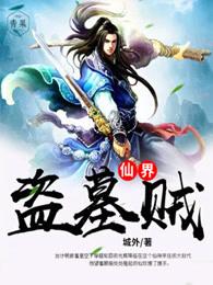 仙界盗墓贼正版阅读