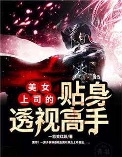 美女总裁的贴身透视高手