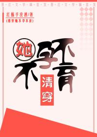 清穿不嫁皇子的