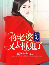 陆少你老婆又作妖了