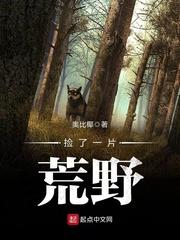 捡到一篇荒野