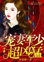 霍少追妻有点忙