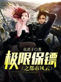 极限保镖之都市风云男主几个女的