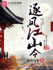 逐风gl完整