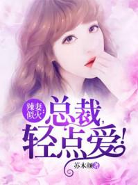 总裁轻点燎
