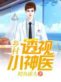 乡村透视小神医 铁阳