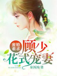 蜜婚难求顾少宠妻成瘾