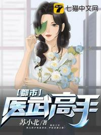 都市之医武高手纯色叶子