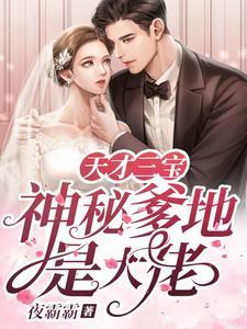 天才三宝神秘爹地是大佬 作者 夜神翼
